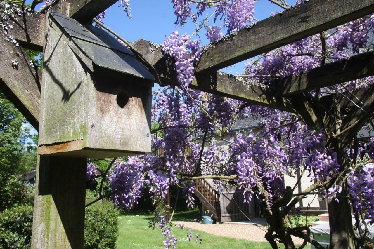 莱堡德拉尔住宿加早餐旅馆 Sainte-Osmane 外观 照片